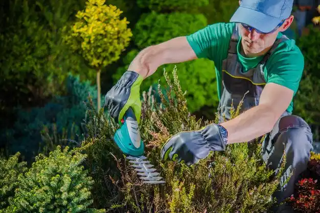 landscaping services Delcambre